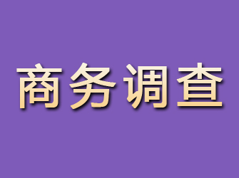 库尔勒商务调查